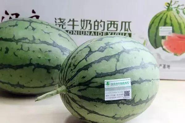 49d5dfb2d76f4828808f67837436cdfe.jpeg