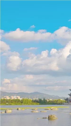 保山有多少人口_保山青海湖有哪些鸟