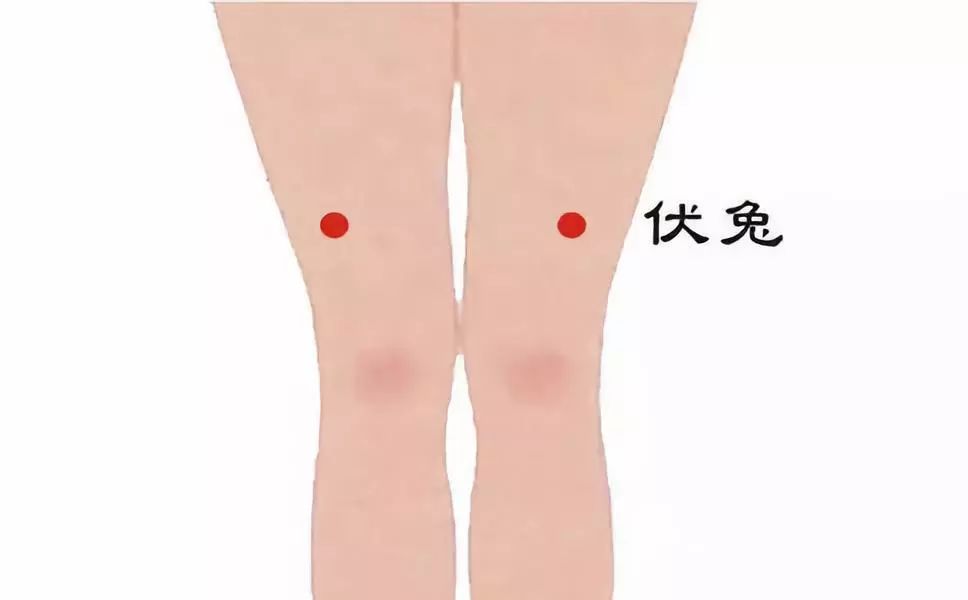 3 伏兔穴 【简易取穴】正坐屈膝成90度,医者以手腕掌横纹抵患者