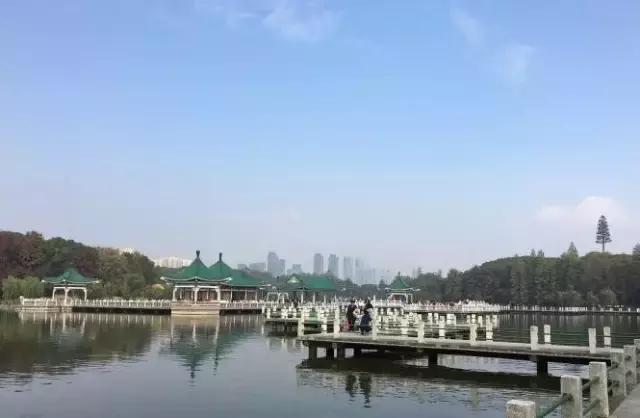 成语游鱼什么听_游鱼棒是什么(2)