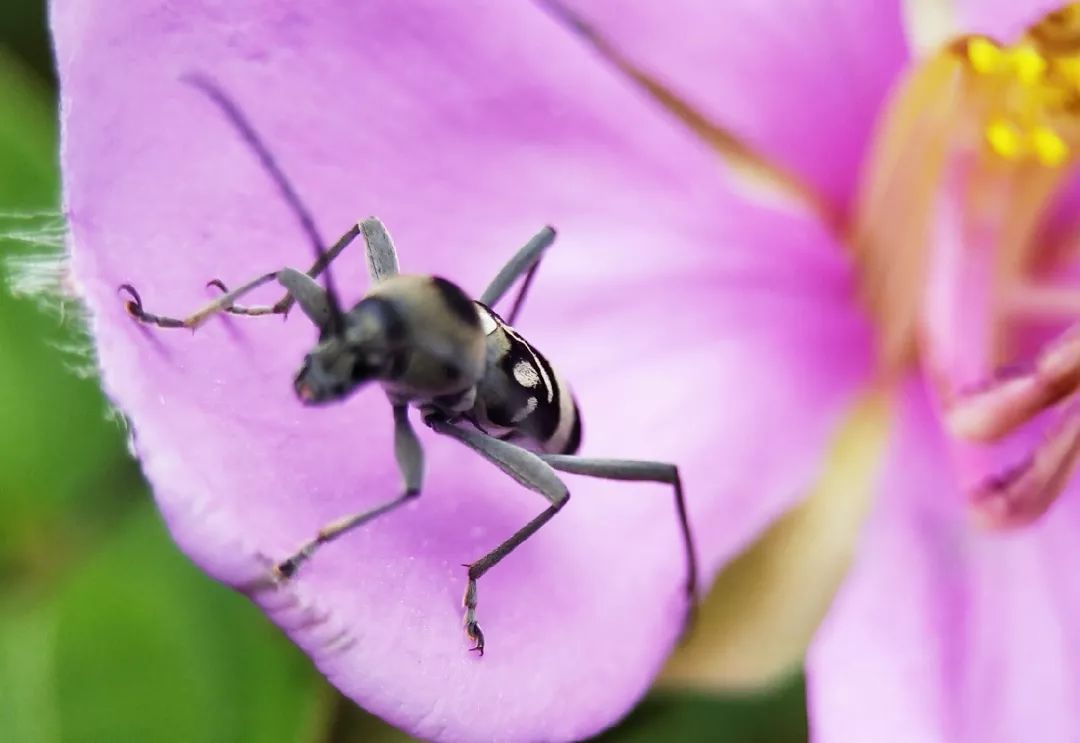 54316a15f32145ba8193135f4b389bee.jpeg