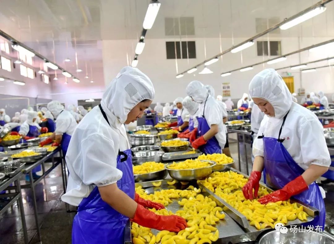 水果加工技术图片 5a68c4f9a4494d939d4ca316fb334201.jpeg