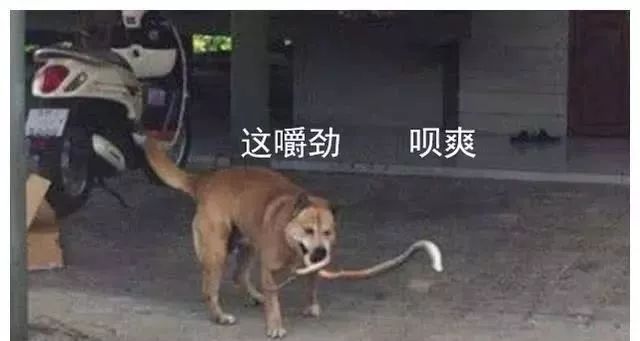 5c046f18deb94e2fa3afd614e46e3923.jpeg