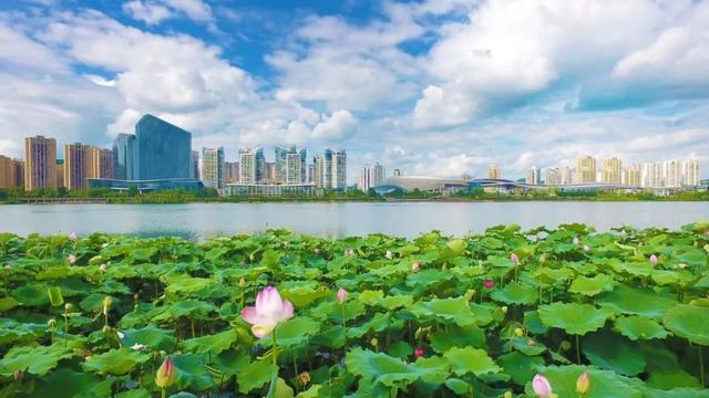 遂宁观音湖国家湿地公园(试点)