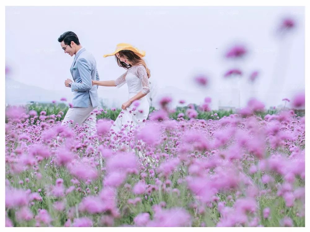 端午乡约白坪-飞龙梦田花海,购票福利点这里  记者:贺小芹 编辑:滕攀