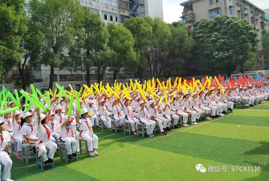 它们分别是: 金龙小学 , 外马三小 , 锦泰小学 , 金珠小学 和 东厦