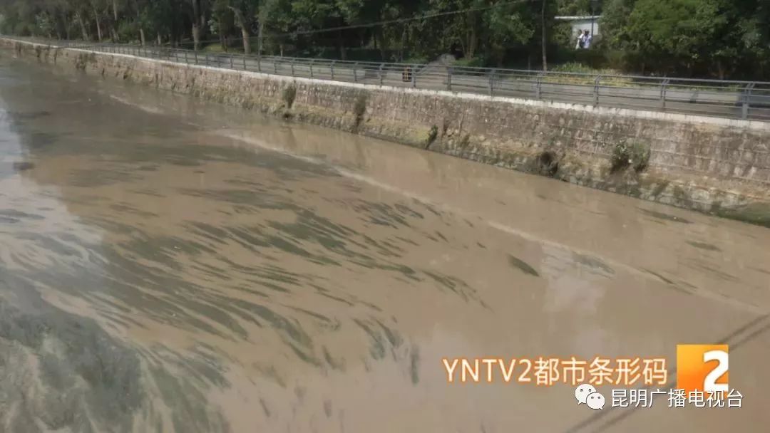 真相是这样→盘龙江水浑浊原因基本确定!_泥浆