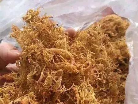 全汕头最贵的菜,原谅贫穷限制了我的想象…_赤菜