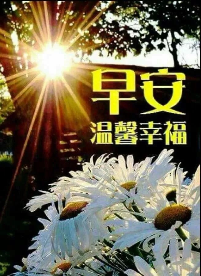 2019Ϻ°ףƯͼƬ 峿Ϻʺ
