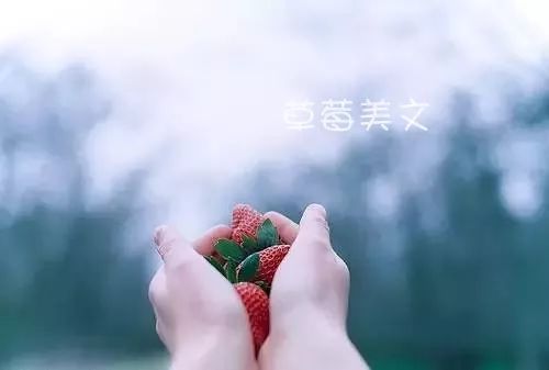 754e9daa27f44f6ab0672d4db667d73e.jpeg