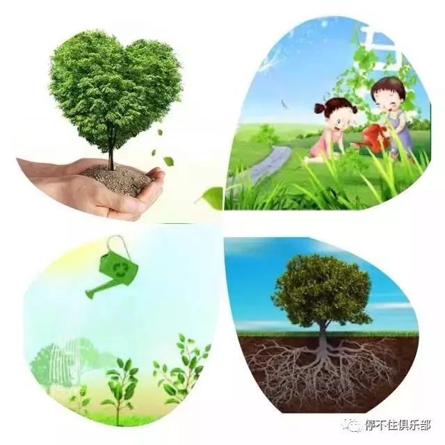 让我们"植下一棵树,增添一片绿,和小树一起茁壮成长",度过有意义的