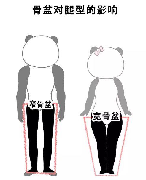 女生的腿vs男生的腿,内容过于真实.