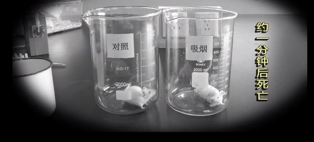                     原创            “我的孩子躲过了二手烟，却没有躲过三手烟”