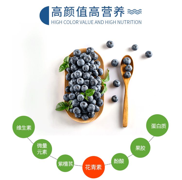 蓝莓产地直销一斤 8a5e950ab91540e485f406405619d4fb.jpeg