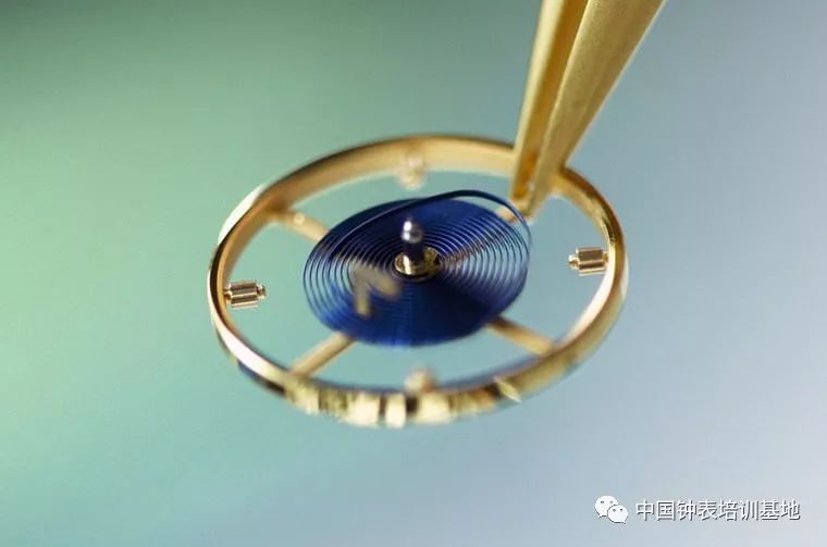 ����ʿΪ����Щ������˿����ɫ��