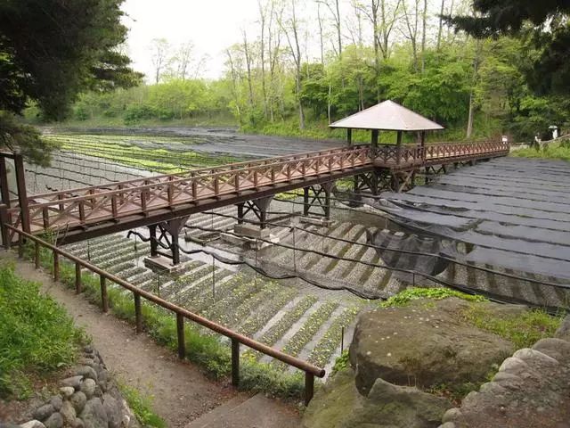 东渡日本探索特色农场及田园综合体样板项目如何做强