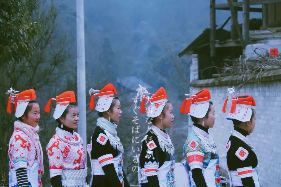 亻革族人口_亻革族图片(2)