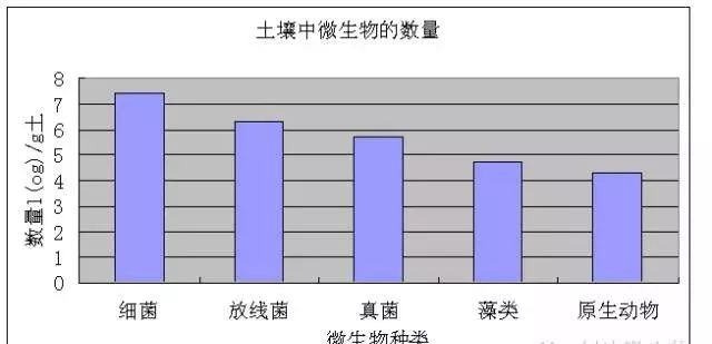 山东省人口数_山东省人口信息中心 苟延农 王洪娜-一次广泛深入的大型调研(3)