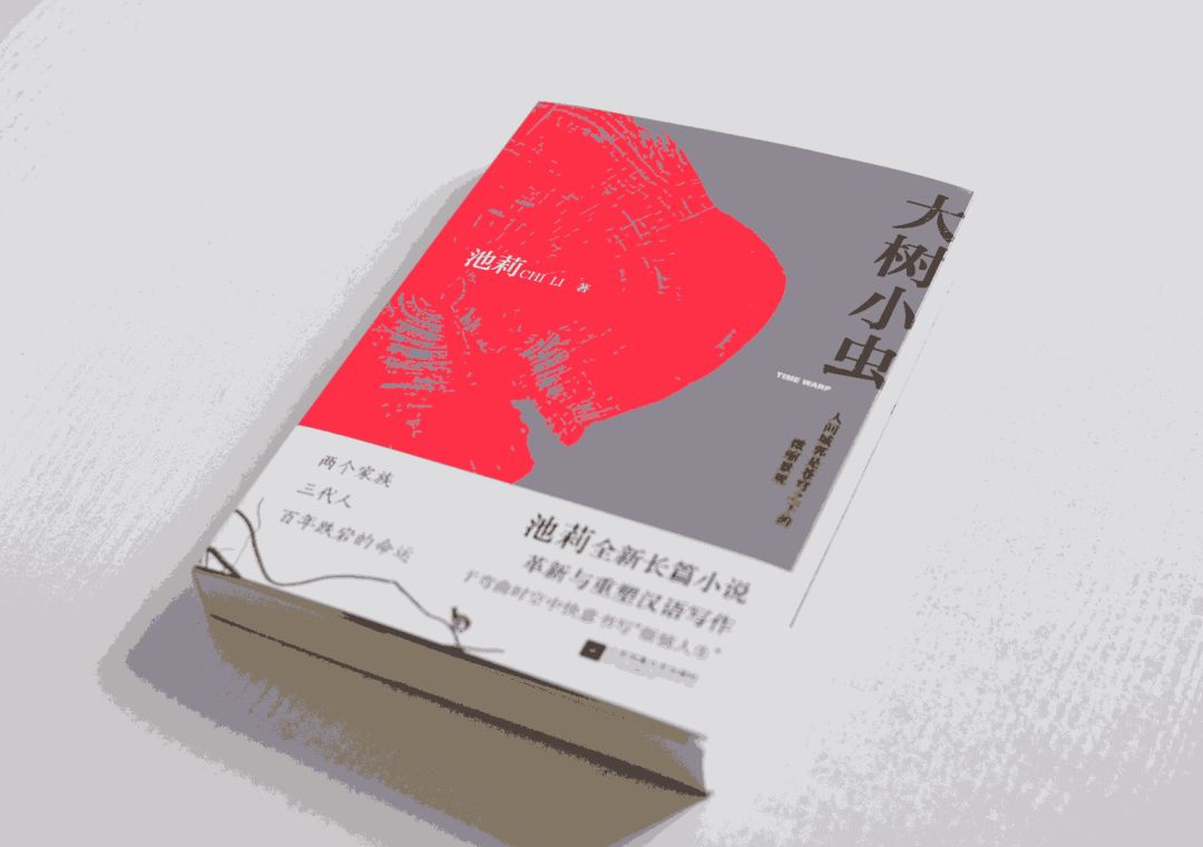 讲座预告丨大时空的小表情池莉新作大树小虫武汉大学创享会