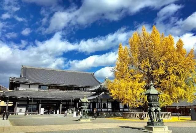 本愿寺是日本佛教净土真宗的大本营,分为东西本愿寺,是京都最大的寺院