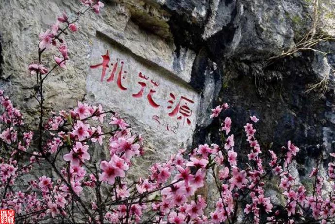 桃花源记全文有多少句 9e616e553ecc48b696e771dd3d693acb.jpeg