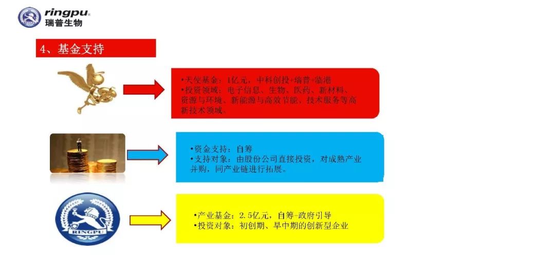 瑞普招聘_东瑞普惠招聘职位 拉勾网 专业的互联网招聘平台(5)