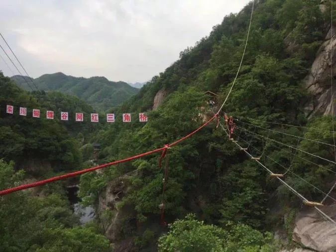 半价!洛阳一大波景点优惠政策到来,必须