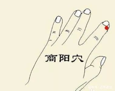 b40f3b9172eb4aab81a37b281f5d6cdf.jpeg