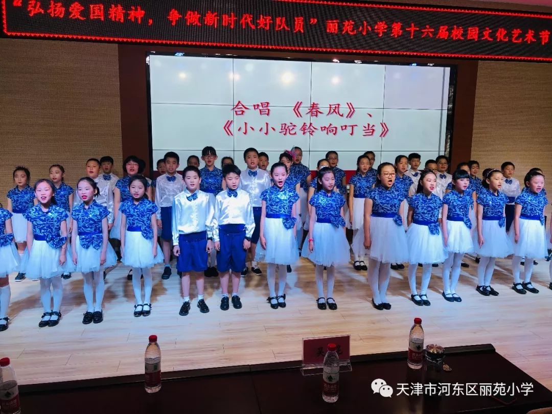 丽苑小学举行"弘扬爱国精神,争做新时代好队员"—庆祝建国70周年暨第