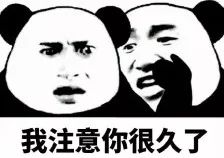 小蓝瓶是什么梗 cd2818bab8f0462083a89dfe81cd942a.jpeg