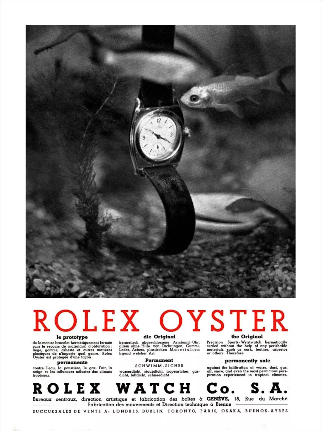 Hi!�����һƪ����ʿ�Ĺ����