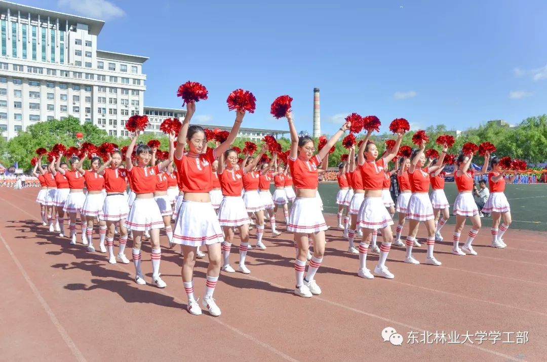 走过不同的方阵彰显着不同的特色与风采风度翩翩的前导女神英姿飒爽的