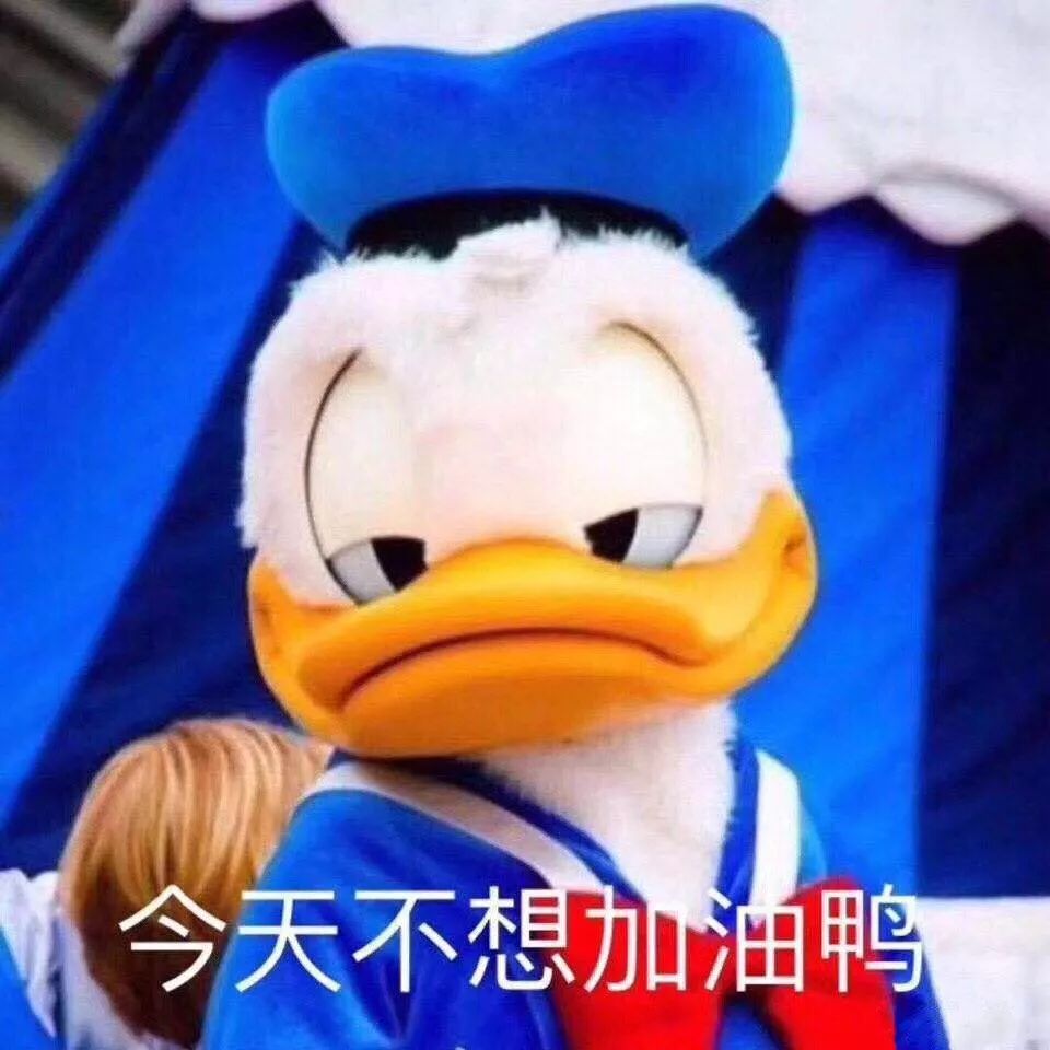 d45da00155d54f368b87a9a60c75f902.jpeg