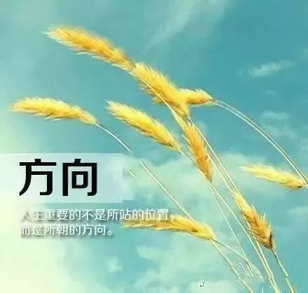 小孩子正能量语录 d4a4682a1aec4de5834d559f62de3657.jpeg