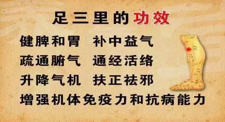 d545e1f4179642708dadb2d79de0a668.JPG