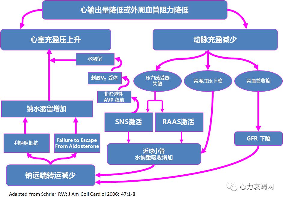 心衰国际学院韦铁民教授超滤治疗在心力衰竭患者容量管理中的应用