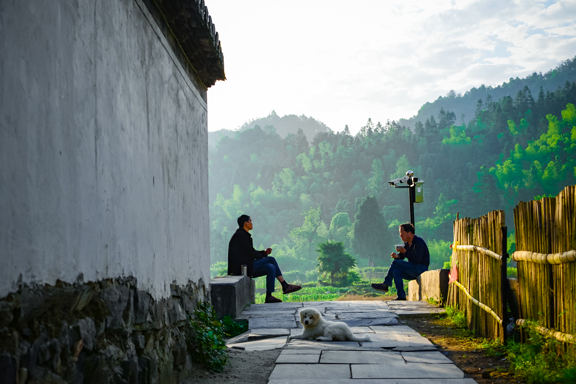 夏日物语，到西递做一场水墨田园梦