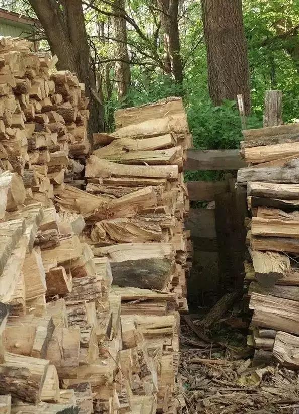 大学|重高校长: 手机正在偷走孩子的大学梦！聪明家长这样做，孩子不生气还听话