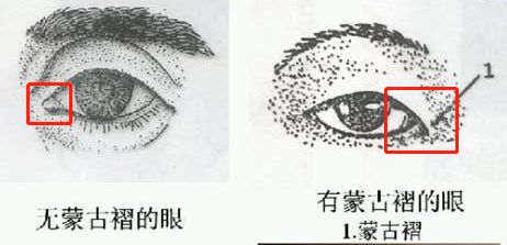 你的长相出卖了你:外表差异很大程度上是......