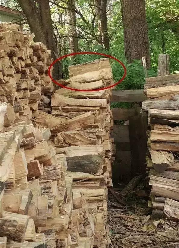 大学|重高校长: 手机正在偷走孩子的大学梦！聪明家长这样做，孩子不生气还听话