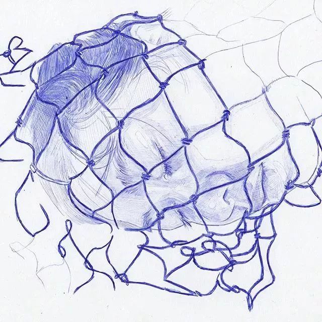 f9119e61e4304a3c95083da14e12b547.jpeg
