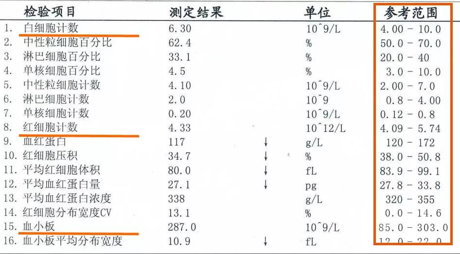 白细胞计数