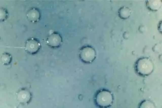 成化瓷器的气泡特点是:彻底改变了永宣时期气泡呈大,中,小的特征,显得