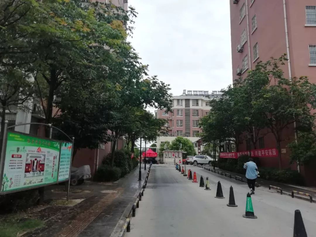荷泽多少人口2019_小丑2019图片(2)