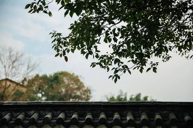 湖北2000年经济总量_1963年湖北经济大学