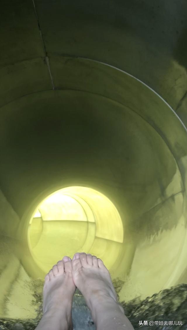 文章配图-52