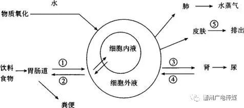 水会