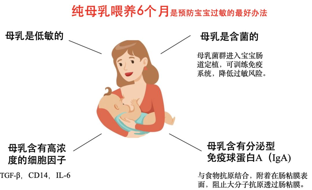 3.哺乳期,首选纯母乳喂养