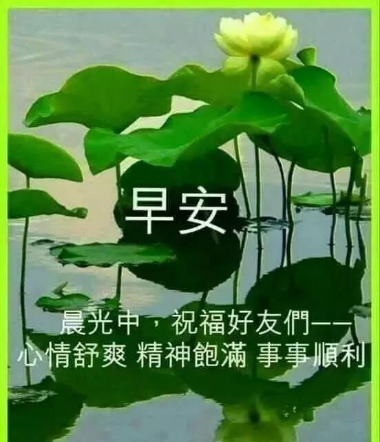 时常感受幸福的温暖,天天笑一笑,生活更美妙,早安!