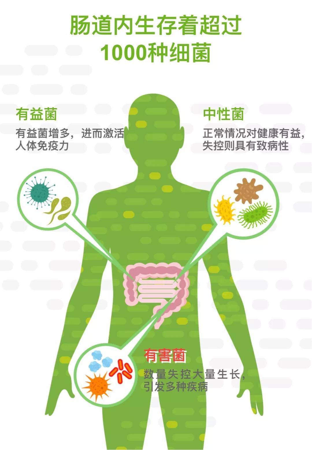 健康便秘腹泻屁多十有八九的肠道问题都与这个原因有关